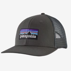 HP🧢 Patagonia Trucker Hat